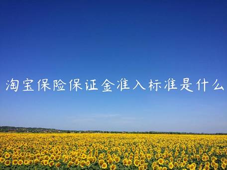 淘寶保險(xiǎn)保證金準(zhǔn)入標(biāo)準(zhǔn)是什么